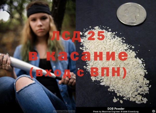 гидропоника Белокуриха