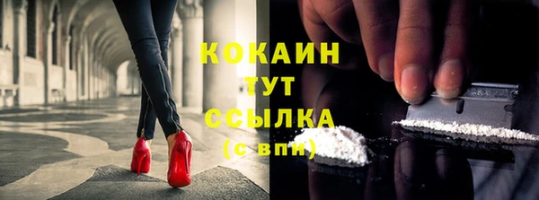 гидропоника Белокуриха